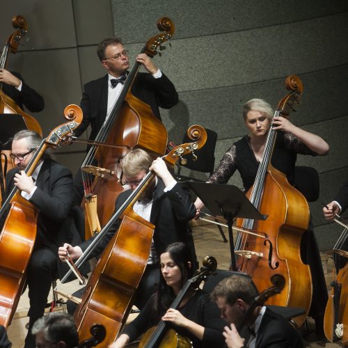 Naujas simfoninio orkestro sezonas  © BFL nuotr.