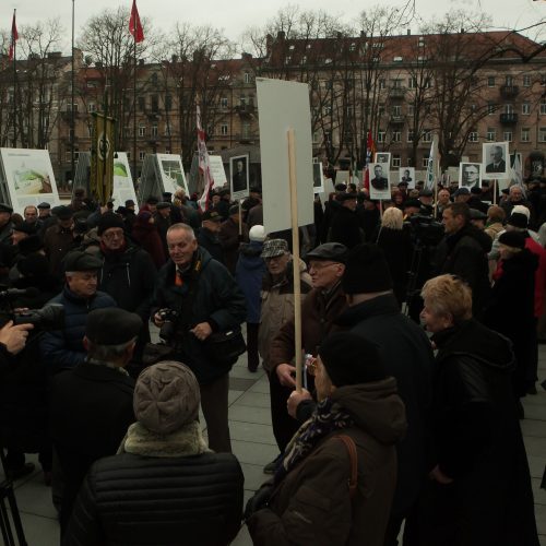 Protesto akcija dėl Vyčio paminklo  © BFL nuotr.