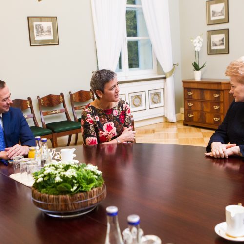 Prezidentė susitiko su eurokomisare  © V. Skaraičio / BFL nuotr.