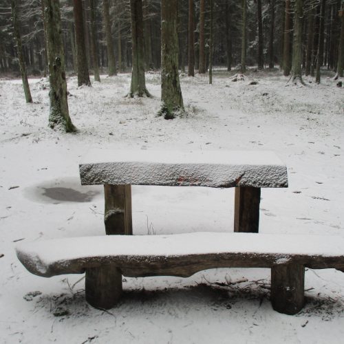 Žiema sugrįžo: Kleboniškio mišką nuklojo sniegas  © Valdo Kasperavičiaus nuotr.