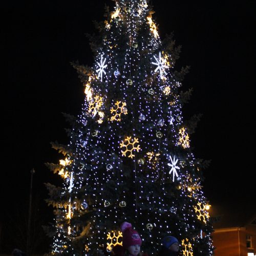 Kalėdų eglės įžiebimas Telšiuose  © Organizatorių nuotr.