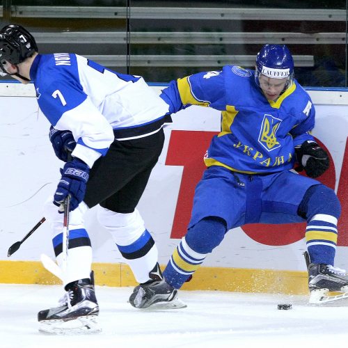 Ledo ritulys: Estija – Ukraina 2:0  © Evaldo Šemioto nuotr.