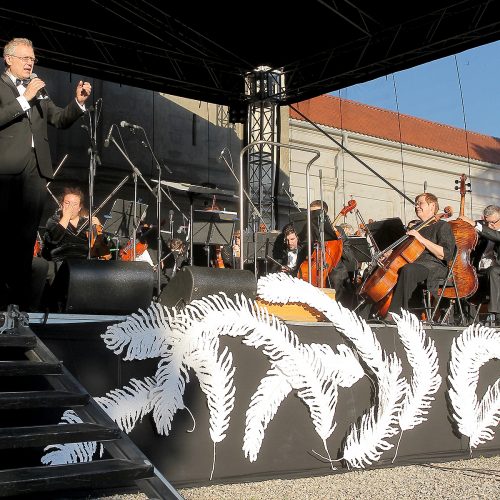 Pažaislio muzikos festivalio pradedamasis koncertas  © Evaldo Šemioto nuotr.