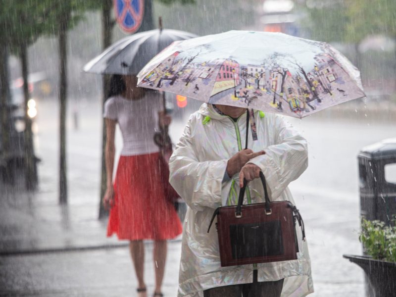 Lietingi orai Lietuvoje išaugino skėčių pardavimus