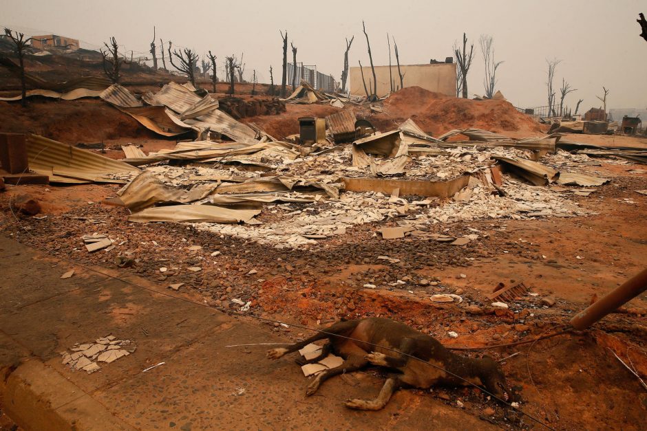 Čilėje per miškų gaisrus žuvo 11 žmonių
