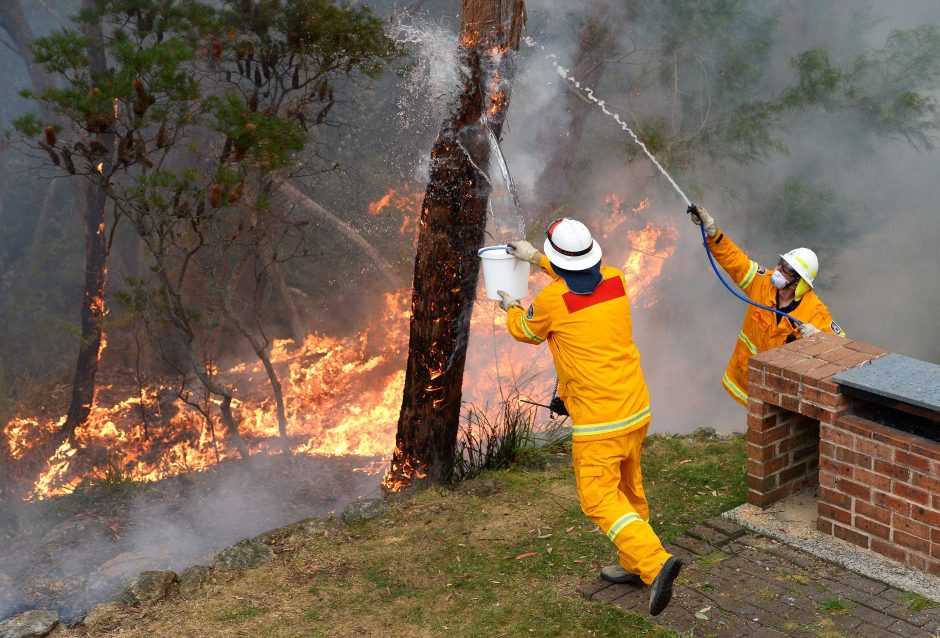 Australijos ugniagesiai sujungė du krūmynų gaisrų židinius, kad juos suvaldytų