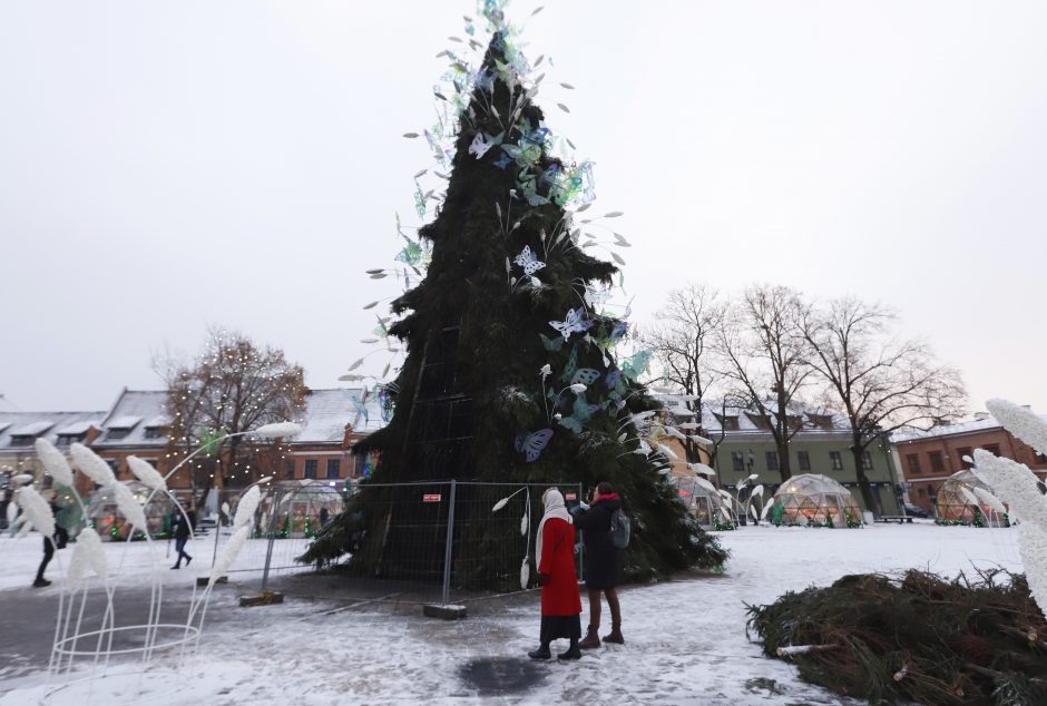 Kauno Rotušės aikštėje padegta miesto Kalėdų eglė