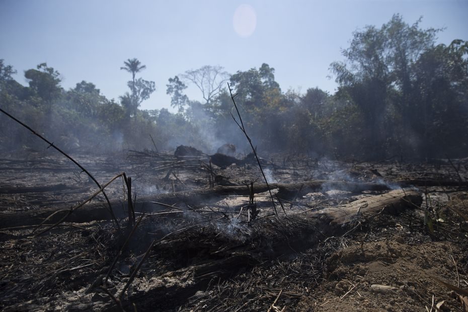 Amazonijos miškų kirtimai pasiekė rekordinius mastus