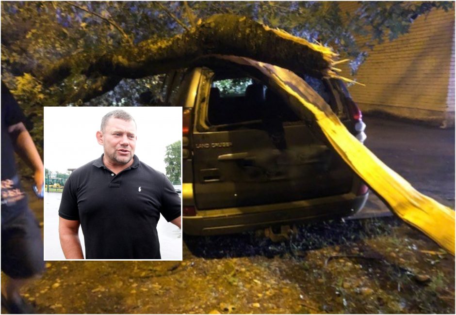 Klaipėdoje nuvirtęs medis sutraiškė kieme stovėjusį automobilį: kas atlygins žalą?