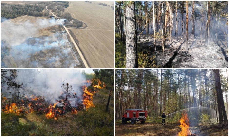 Pavasariniams gaisrams užkardyti – prevenciniai miškininkų reidai ir patarimai