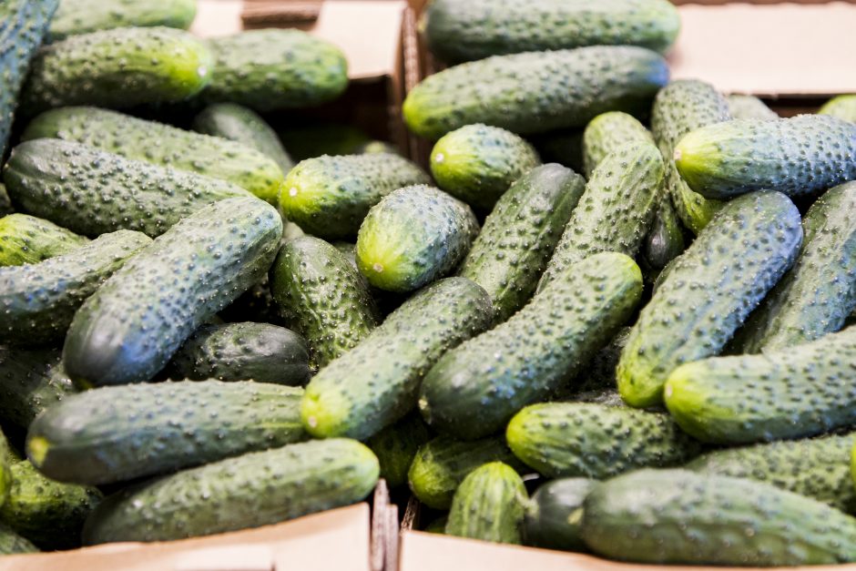 Pirmieji lietuviški agurkai – jau prekyboje: jų kaina įkandama ne visiems  