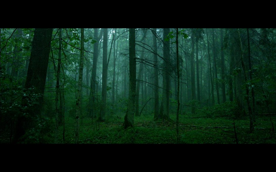 M. Survila: man miškas – kaip katedra