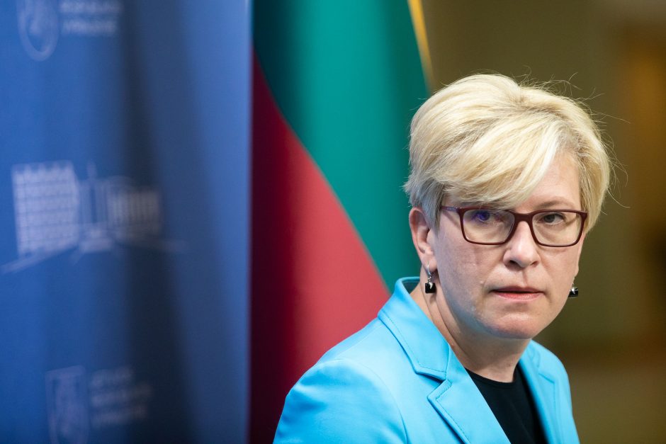 I. Šimonytė: nacionalinė plėtros įstaiga užpildytų verslo finansavimo spragas