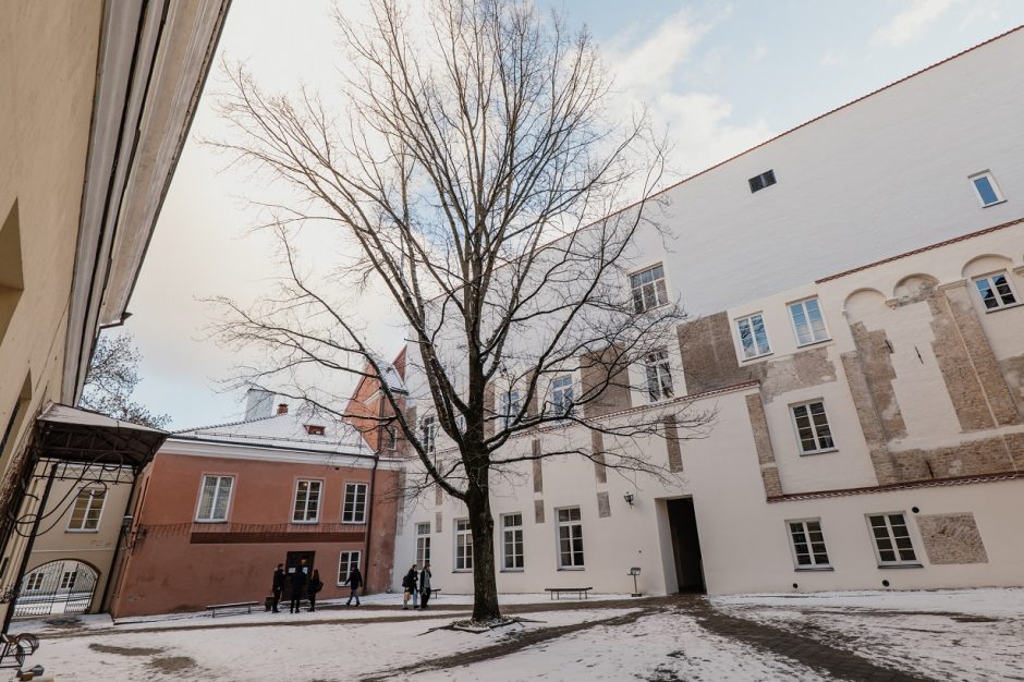 Restauruojant Vilniaus universiteto fasadus, atrasti renesanso laikų tapybos fragmentai