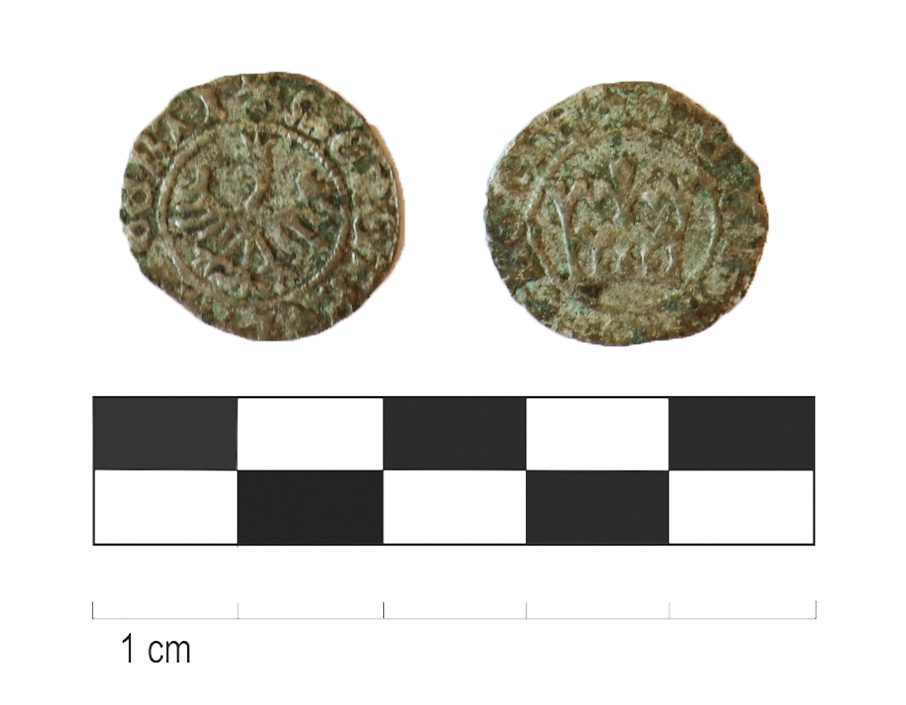 Vilniaus senamiestyje archeologai rado kelis šimtus senovinių monetų, paauksuotų plombų