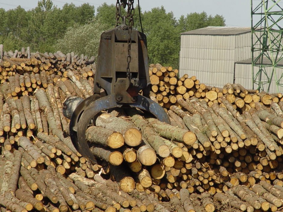 Vakarų medienos grupė baigė statyti gamyklą Akmenėje: sausį prasidės bandymai