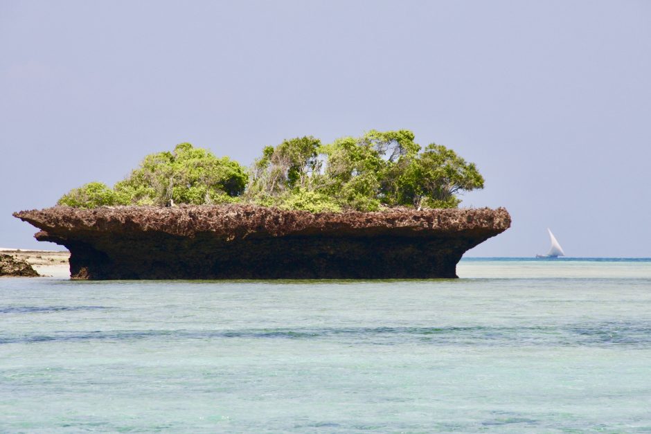 Zanzibaro rojuje svaigino ir vaizdai, ir skoniai, ir kvapai
