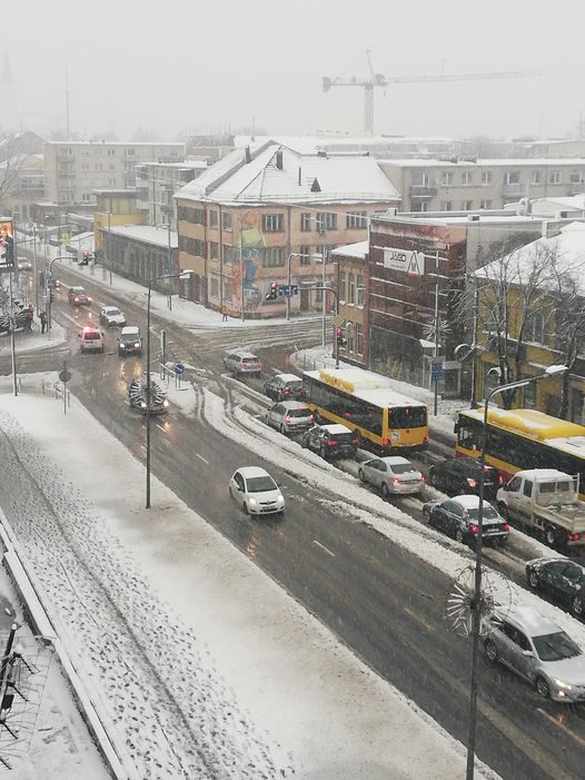 Gegužę dalyje Lietuvos – baltas peizažas: pridrėbė sniego kaip žiemą