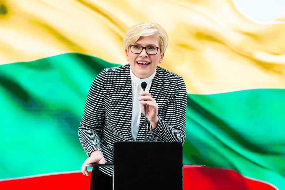 I. Šimonytė sutiko: ves konservatorių sąrašą Seimo rinkimuose