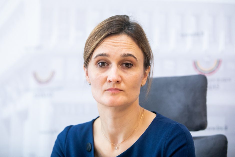 V. Čmilytė-Nielsen: valdantieji griauna demokratinę valstybę