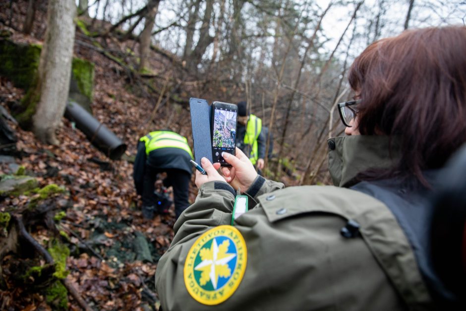 Verkių parke tekančiame Baltupio upelyje aptikta teršalų