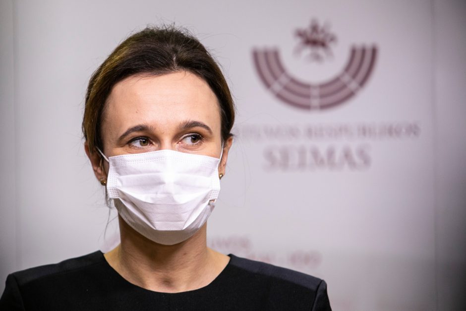 V. Čmilytė-Nielsen: teks grįžti prie Seimo narių atostogų įteisinimo klausimo