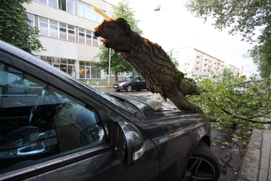 Lietuvą siaubė audra: per avariją dėl nuvirtusio medžio nukentėjo žmogus