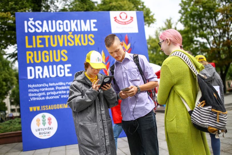 Grėsmė juodai duonai: prašo rugius įtraukti į Raudonąją knygą