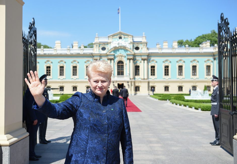 D. Grybauskaitė naująjį Ukrainos prezidentą ragina „sutraiškyti“ oligarchinę sistemą