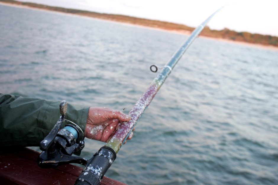 Žuvinto rezervate uždraudžiama žvejyba, nebegalima plaukioti valtimis