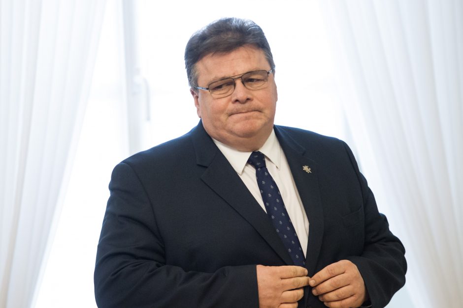 L. Linkevičius: pareiškimai apie ES kariuomenę kelia nepasitikėjimą JAV