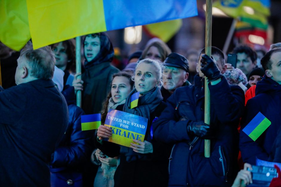 Nuotolinė istorijos pamoka apie Ukrainą sulaukė 30 tūkst. peržiūrų