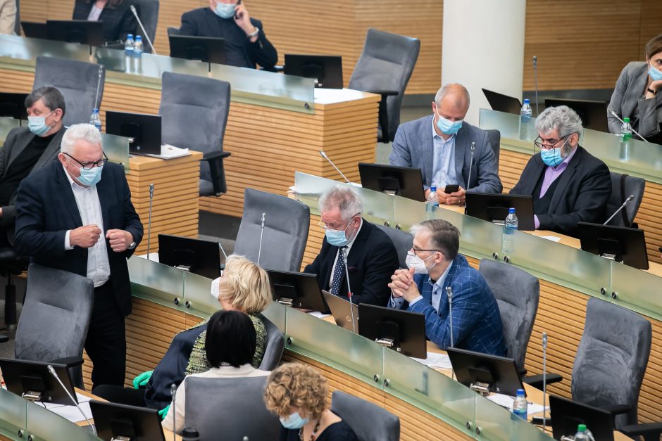 R. Baškienė: kiekviename posėdyje trūksta apie 20 Seimo narių