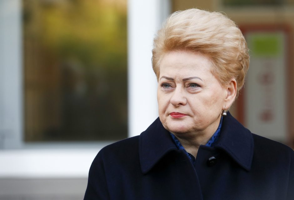 Prezidentė D. Grybauskaitė globos iniciatyvą „Profesionalės.lt“