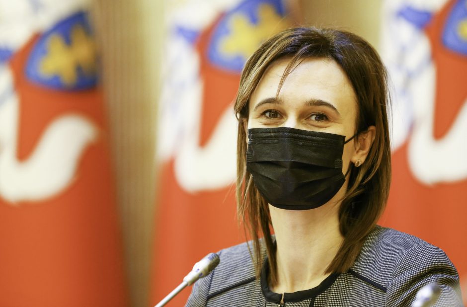 V. Čmilytė-Nielsen: pavasario sesijoje Seimas Stambulo konvencijos nesvarstys