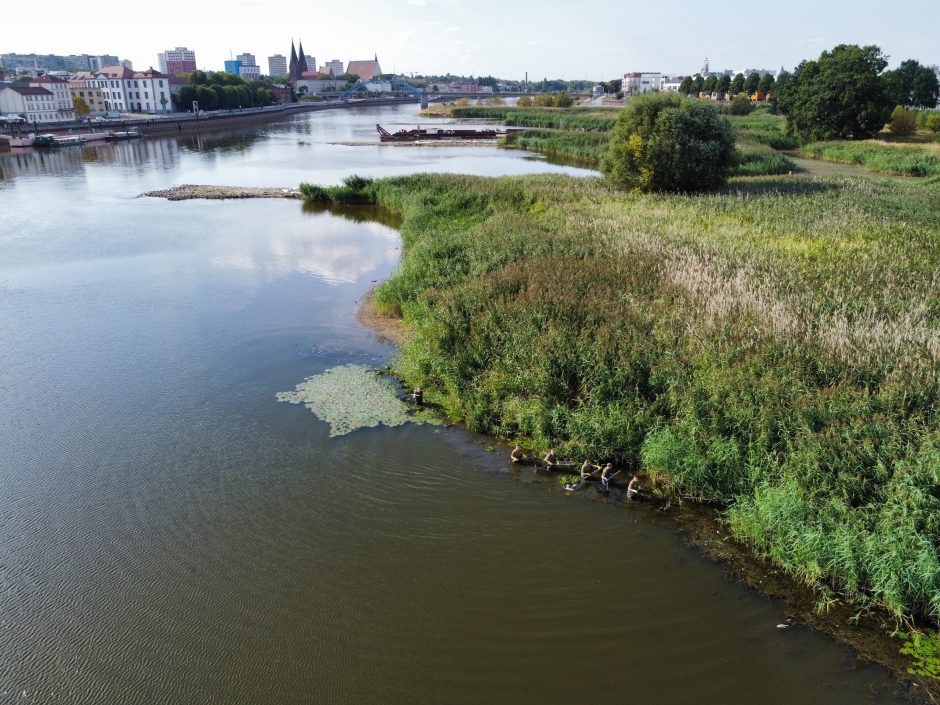 Tarša Oderio upėje gali pakenkti žuvims Baltijos jūroje