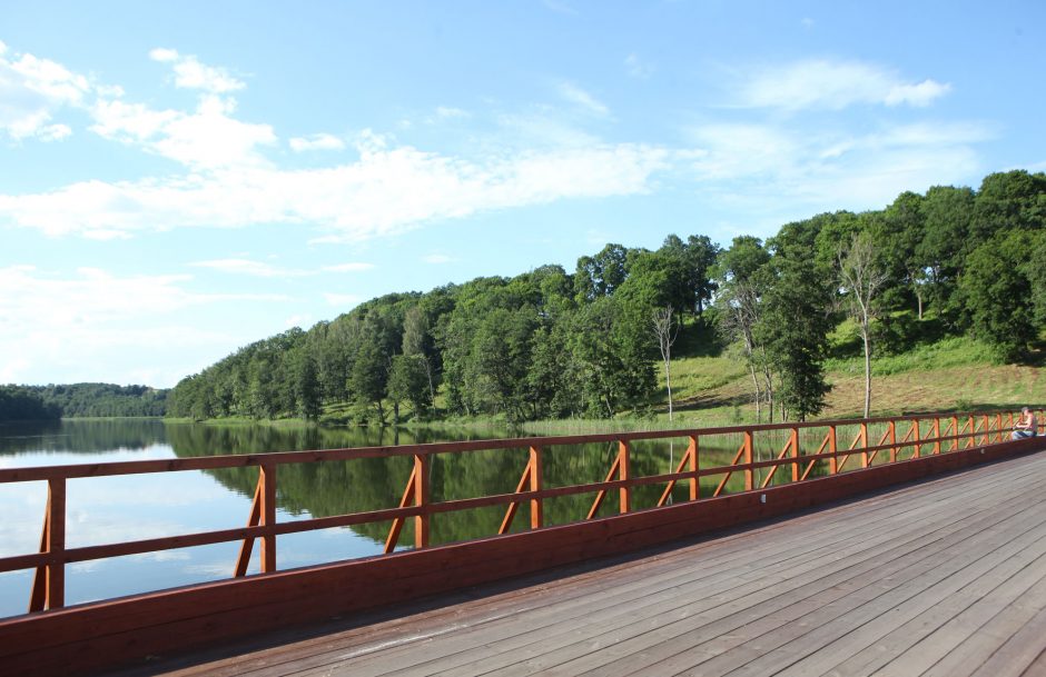 Medinio tilto per Asvejos ežerą remontas kainuos 1,6 mln. eurų