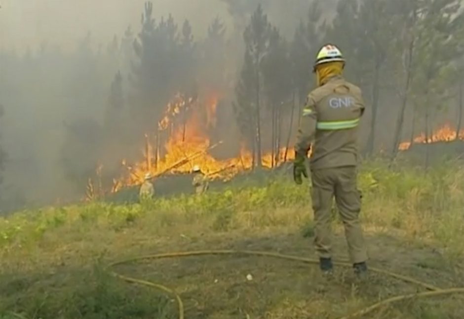 Pragaras Portugalijoje: tūkstantis ugniagesių kovoja su miškų gaisrais 
