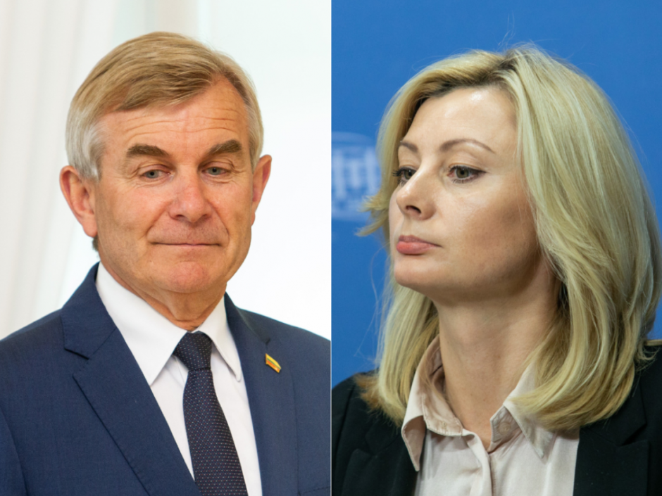 Ministrė nepritaria siūlymui panaikinti Seimo pirmininko apsaugą