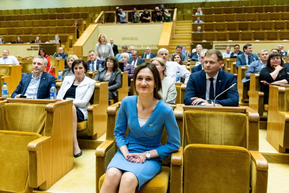 V. Čmilytė-Nielsen skeptiškai vertina leidimą Seimo nariams dirbti pedagoginį darbą