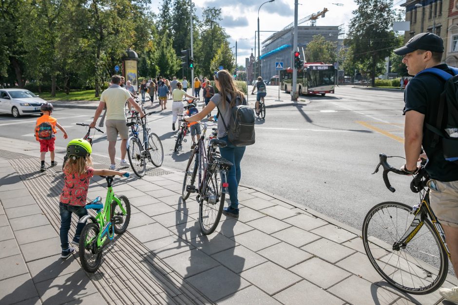 Siūlo mokytis iš kitų valstybių – Vilniuje įvesti „dviračių gatves“