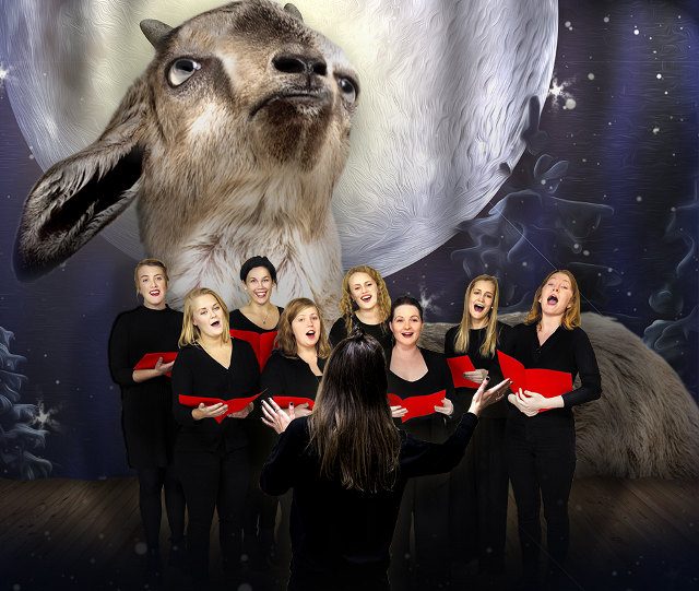 Kalėdinių dainų koncertas – pamėgdžiojant ožkų mekenimą