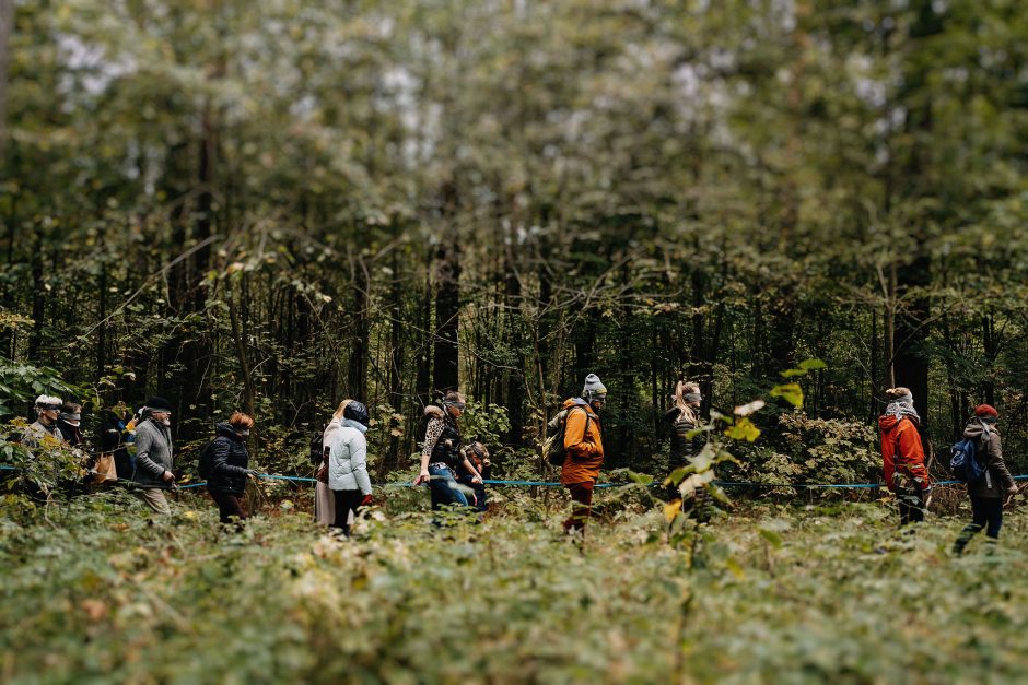 Festivalio „Pojūčių šilas“ organizatorius: bendruomeniškumas sprendžia problemas