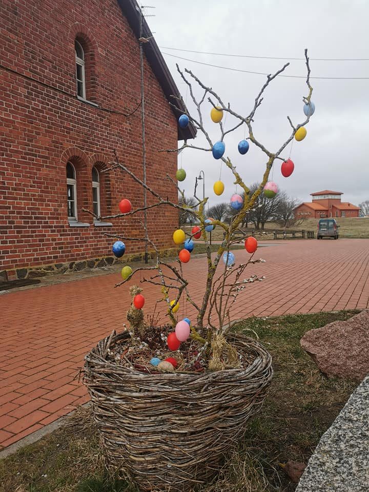 Lietuvoje perinčių paukščių kiaušiniai stebina įvairiausiomis spalvomis