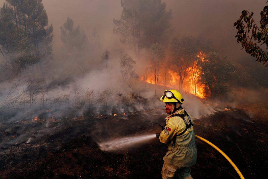 Portugalijoje per miško gaisrą sužeistas 31 žmogus