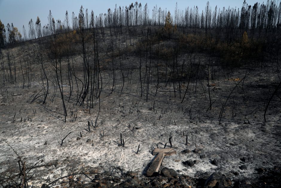 Portugalijoje per miško gaisrą sužeistas 31 žmogus