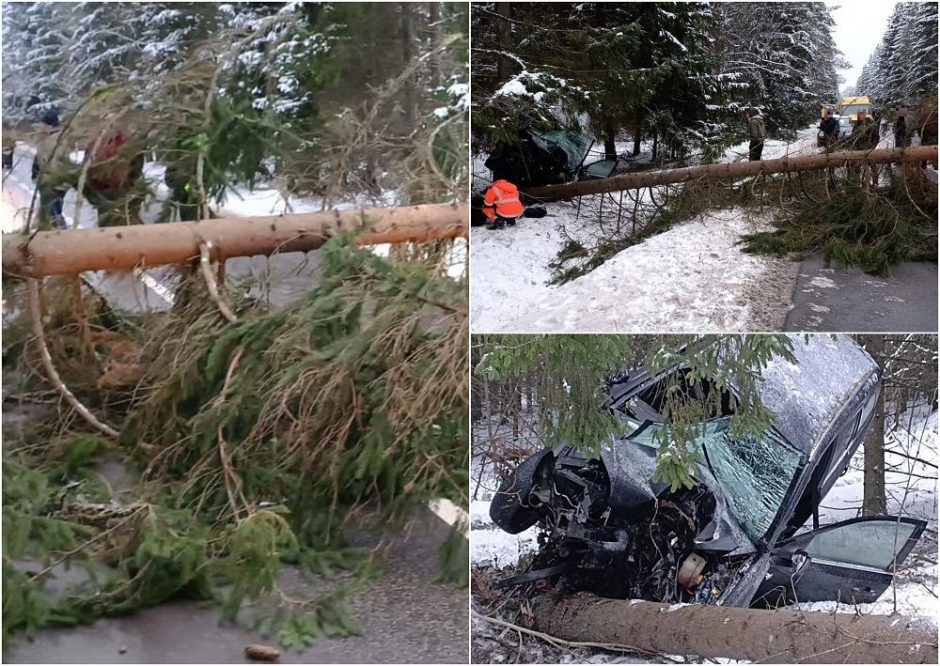 Trakų rajone jaunuolio automobilis rėžėsi į medį: medikų rankose – trys žmonės