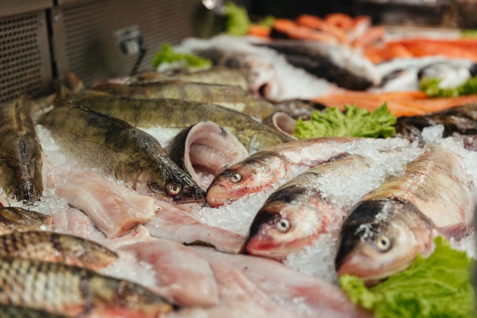 Po siūlymo uždrausti verslinę žvejybą Kuršių mariose – žuvininkų kritika