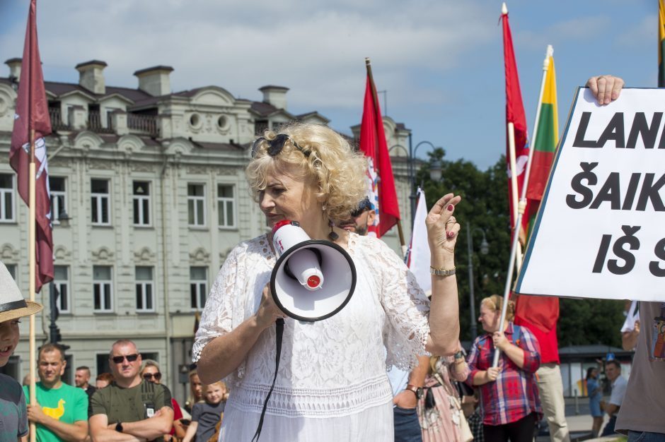 Mitingą prie Seimo organizavusi A. G. Astrauskaitė prašo teismo panaikinti skirtą baudą