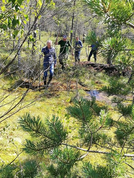 Dėmesys pelkių atsistatymui: atkuriamos sutrikdytos natūralios ekosistemos